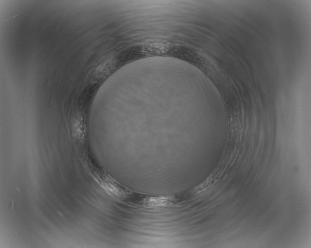 X0000058790134200510171330