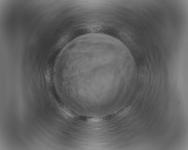 X0000058790139200510171330