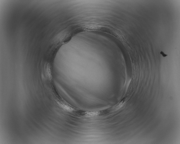 X0000058790143200510171330