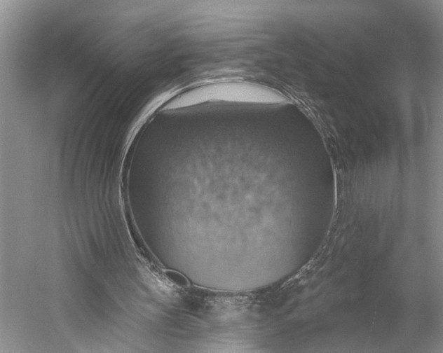 X0000058790147200510171329