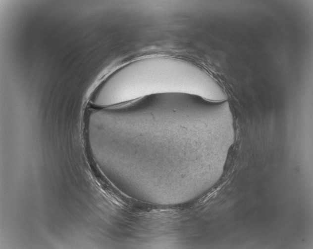 X0000058790150200510171329