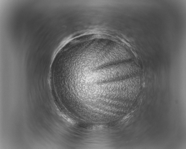X0000058790152200510171329