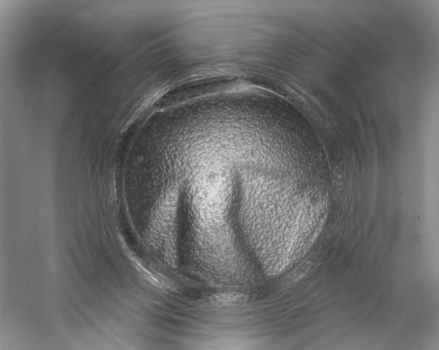 X0000058790158200510171329