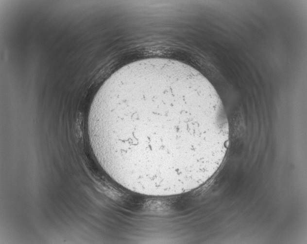 X0000058790174200510171330