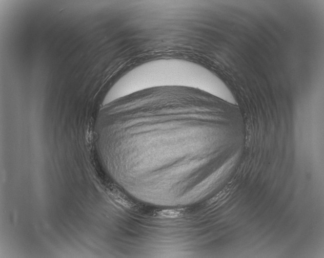 X0000058790176200510171330