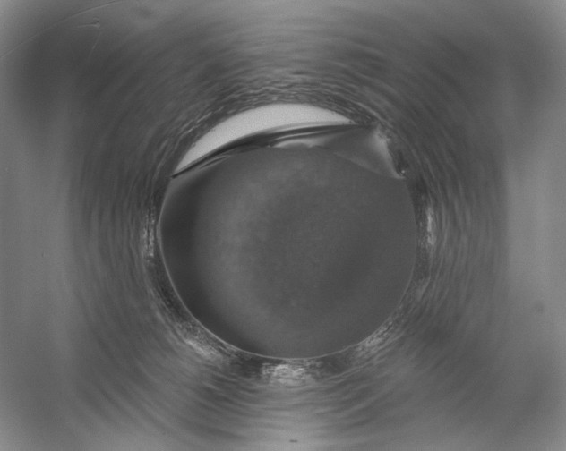 X0000058790180200510171330