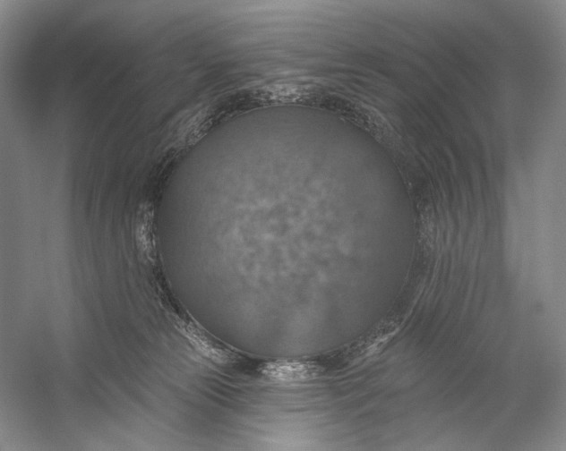 X0000058790181200510171330