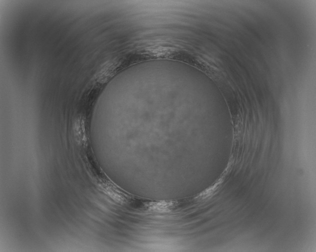 X0000058790182200510171330
