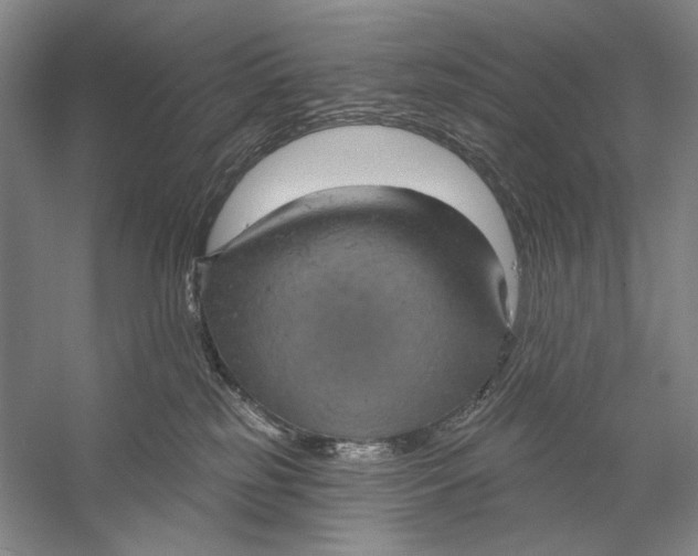 X0000058790185200510171330