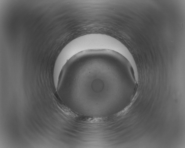 X0000058790186200510171330