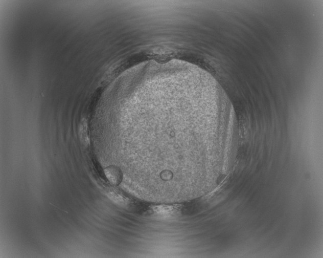 X0000058790187200510171330