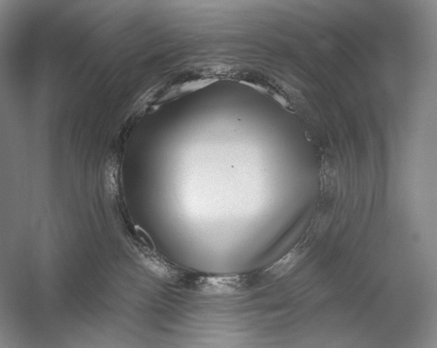 X0000058790188200510171330