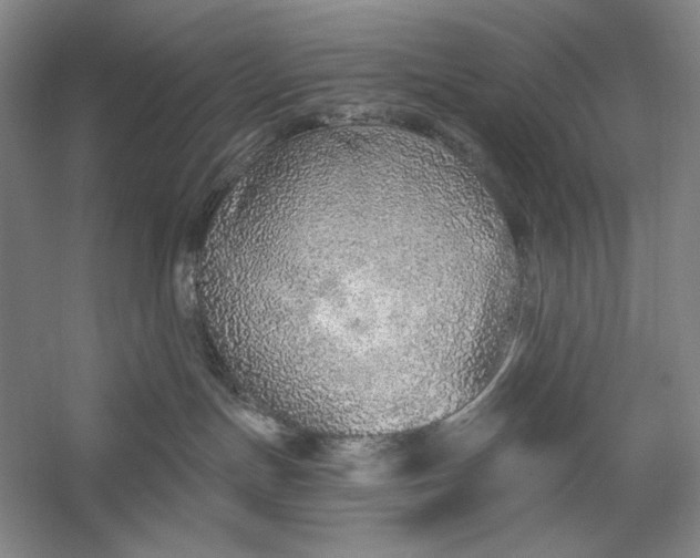 X0000058790191200510171330