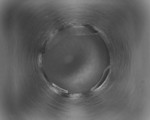 X0000058790192200510171330