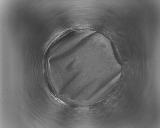 X0000058790194200510171329