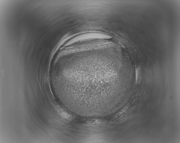 X0000058790195200510171329