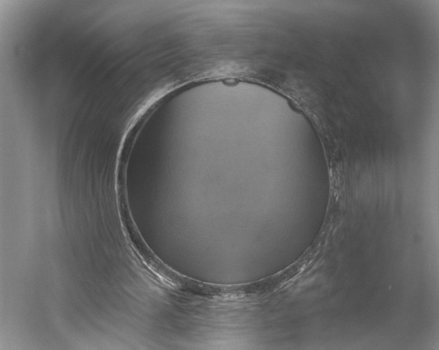 X0000058790196200510171329