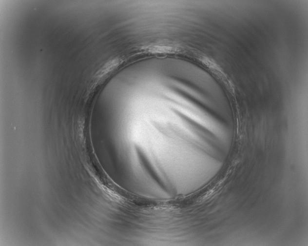 X0000058790201200510171329