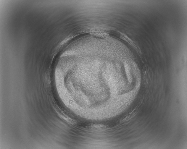 X0000058790203200510171329