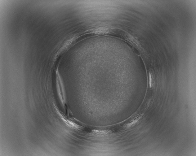 X0000058790205200510171329