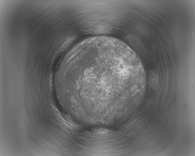 X0000058790206200510171329
