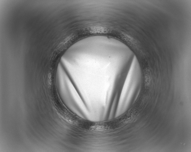 X0000058790211200510171329