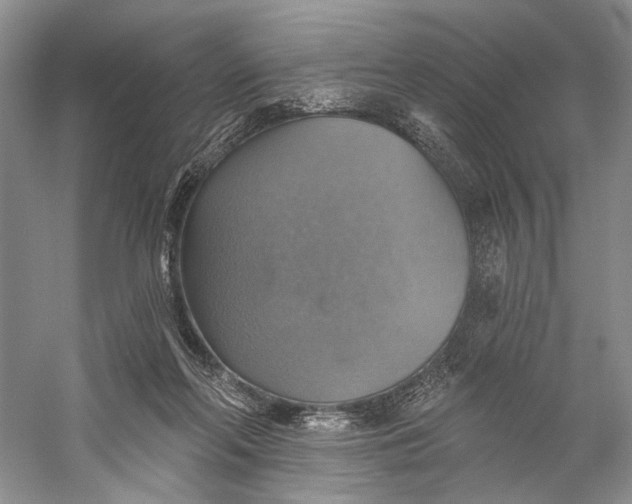 X0000058790214200510171329