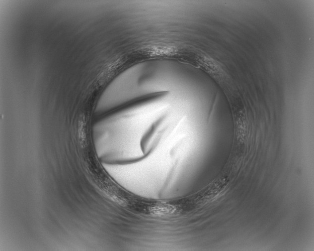 X0000058790215200510171329