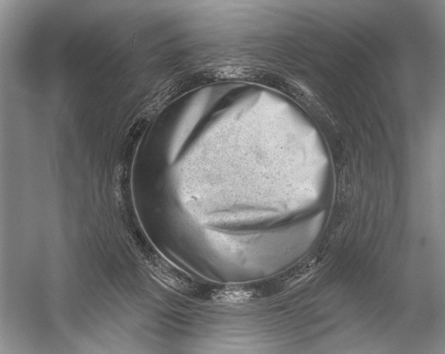 X0000058790217200510171329