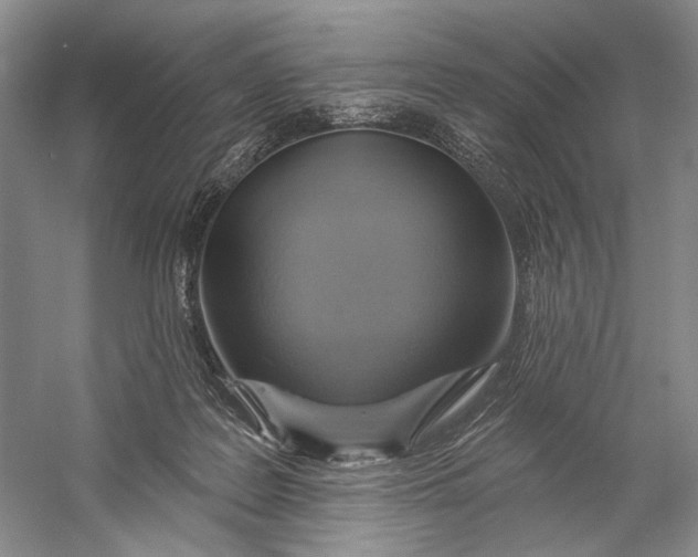 X0000058790219200510171329