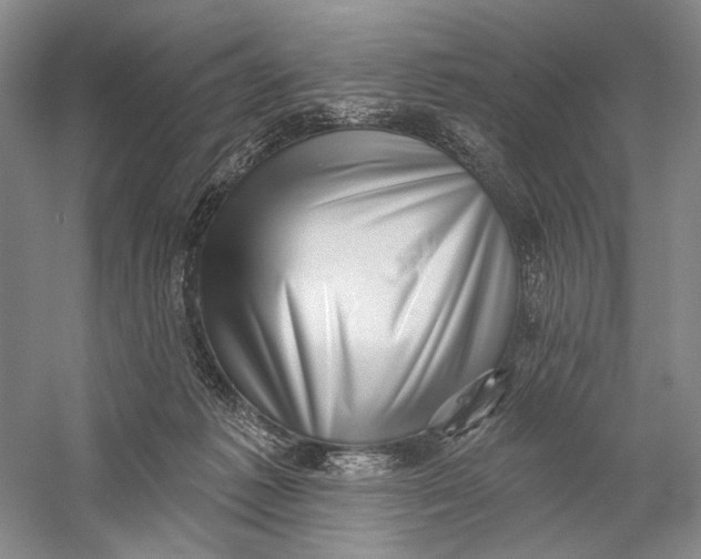X0000058790221200510171329