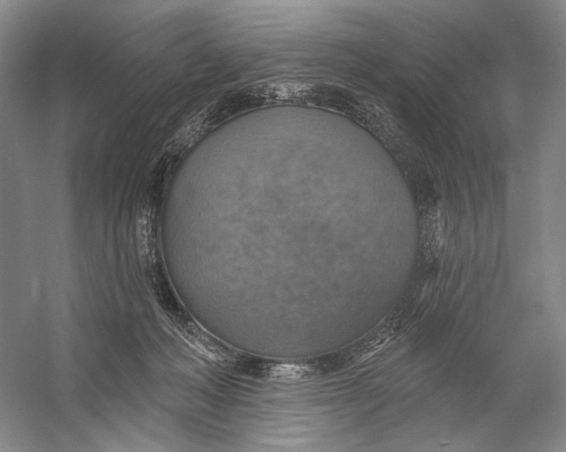 X0000058790222200510171329