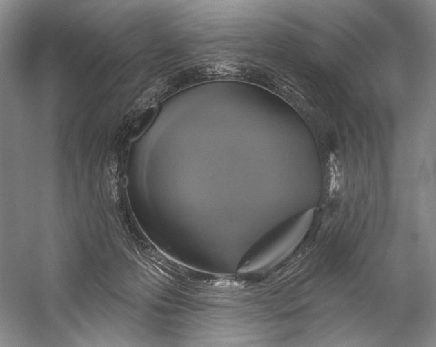 X0000058790223200510171329