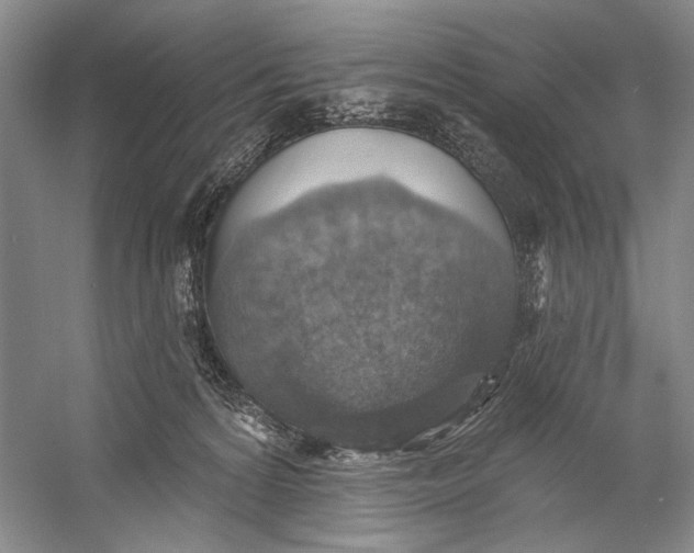 X0000058790224200510171329
