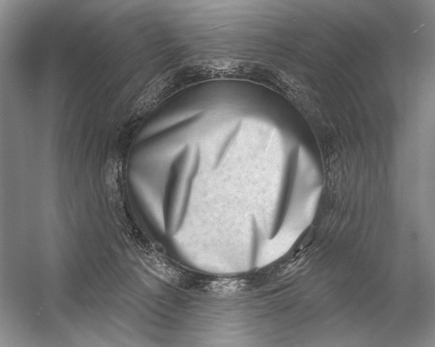 X0000058790225200510171329