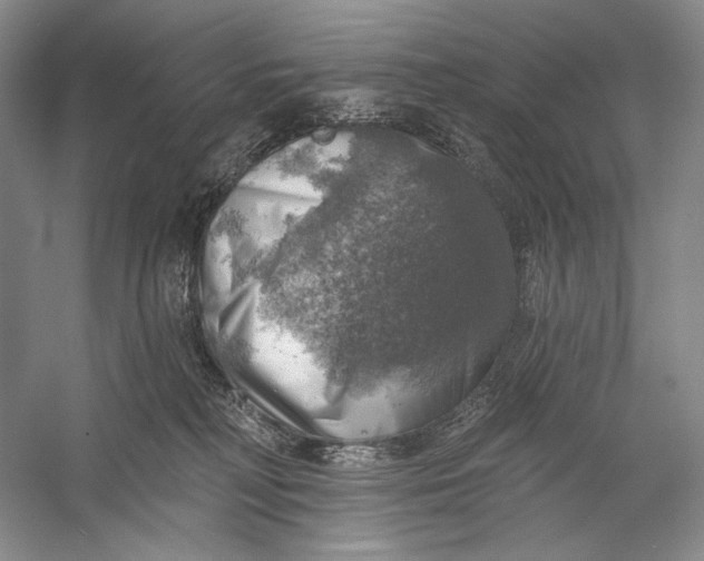 X0000058790230200510171328