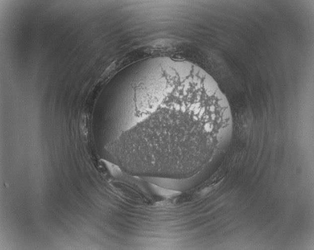 X0000058790232200510171328