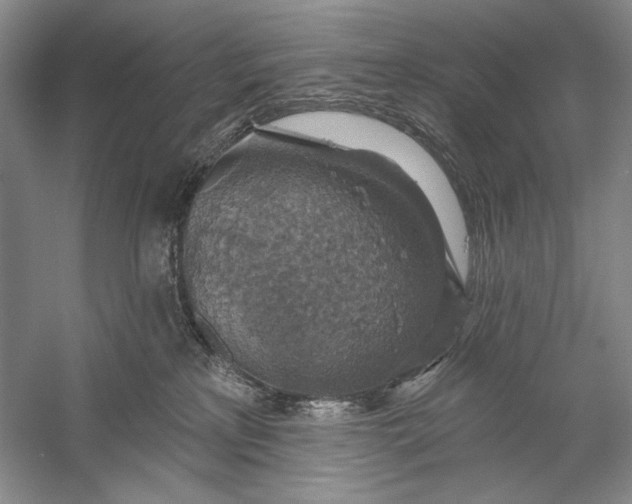 X0000058790233200510171328