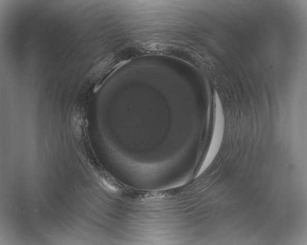 X0000058790235200510171328