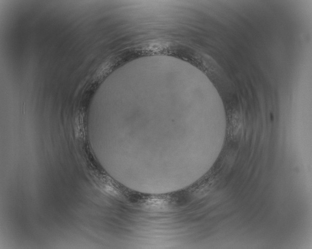X0000058790236200510171328
