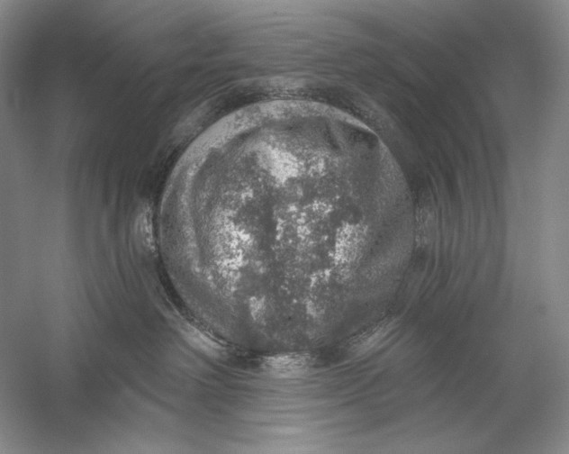 X0000058790238200510171328
