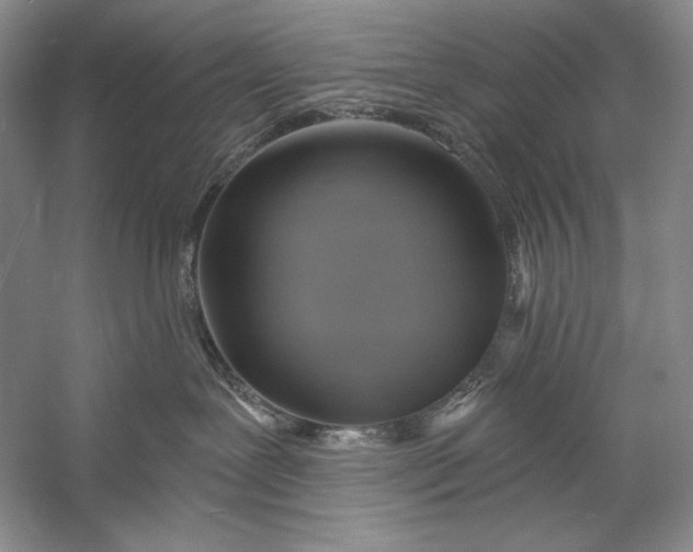 X0000058790239200510171328
