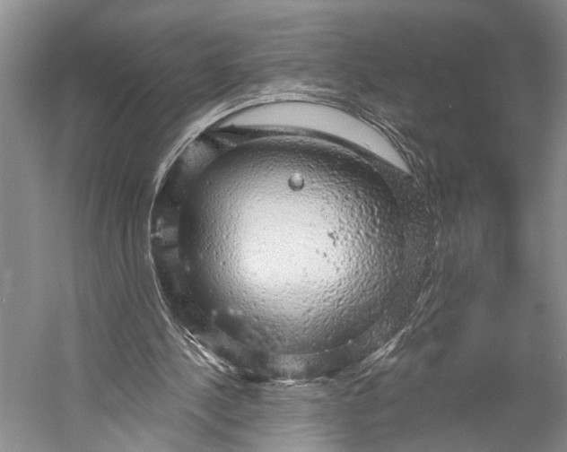 X0000058790244200510171327