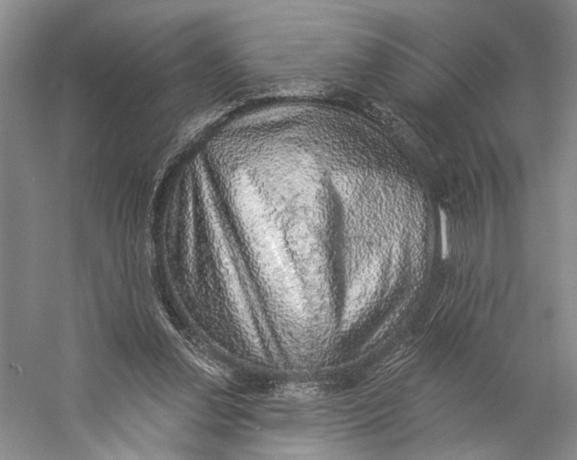 X0000058790252200510171328