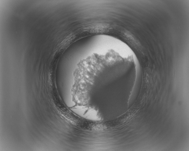 X0000058790258200510171328