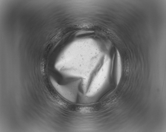 X0000058790268200510171328