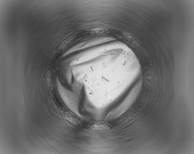 X0000058790270200510171328