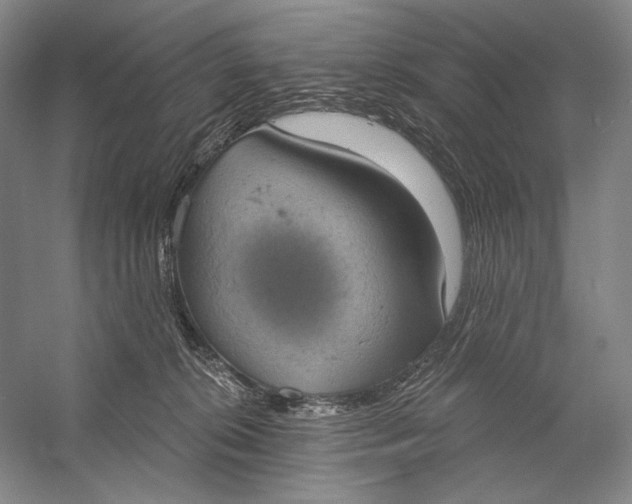 X0000058790276200510171328
