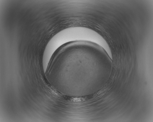 X0000058790277200510171328