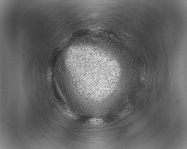 X0000058790279200510171328